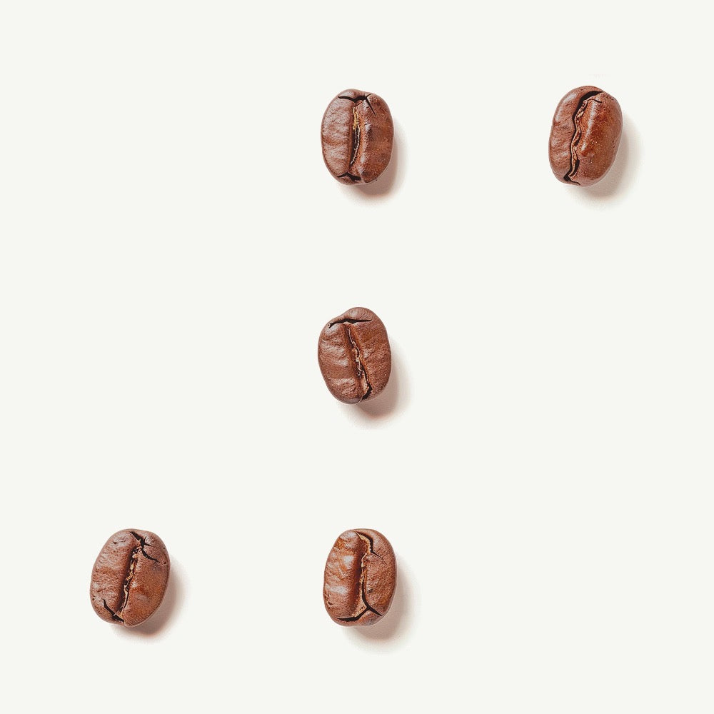 Brazil Yellow Catuai