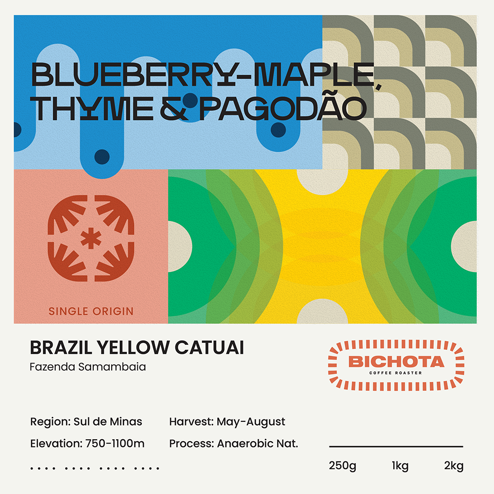 Brazil Yellow Catuai
