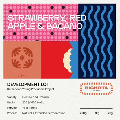 Colombia Development Lot